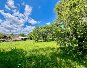 Ház 4 szobák eladó on Filea De Sus, Zóna Centru