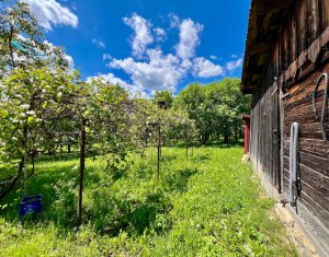 Ház 4 szobák eladó on Filea De Sus, Zóna Centru