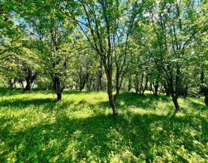 Ház 4 szobák eladó on Filea De Sus, Zóna Centru