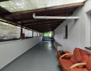 Appartement 4 chambres à louer dans Cluj-napoca, zone Europa