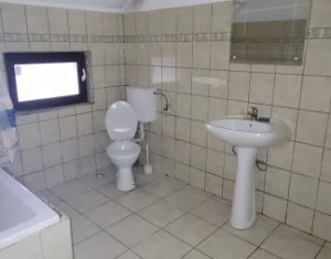Maison 5 chambres à louer dans Cluj-napoca, zone Someseni