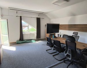 Maison 8 chambres à louer dans Cluj-napoca, zone Intre Lacuri