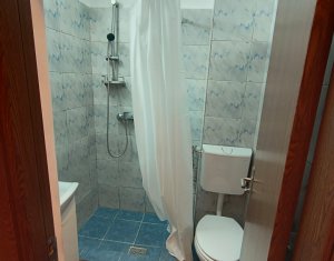 Appartement 1 chambres à louer dans Cluj-napoca, zone Gheorgheni