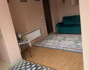 Maison 2 chambres à vendre dans Cluj-napoca, zone Dambul Rotund