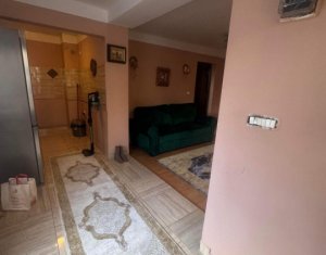 Maison 2 chambres à vendre dans Cluj-napoca, zone Dambul Rotund