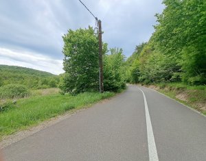 Teren 5000 mp,  la 300 m de Lacul Micesti