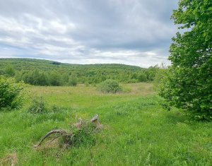 Teren 5000 mp,  la 300 m de Lacul Micesti