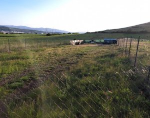 2 terenuri – 900 mp si 2000 mp, zona centura Donath - Floresti