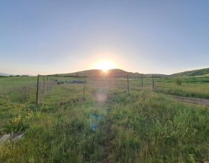 2 terenuri – 900 mp si 2000 mp, zona centura Donath - Floresti