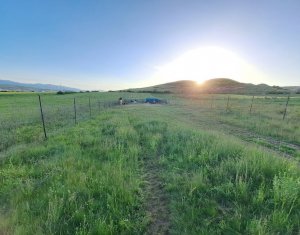 2 terenuri – 900 mp si 2000 mp, zona centura Donath - Floresti