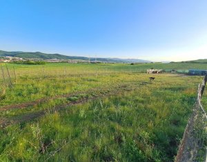 2 terenuri – 900 mp si 2000 mp, zona centura Donath - Floresti