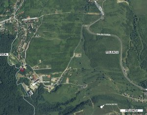 Terrain à vendre dans Feleacu