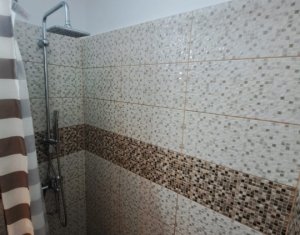 Appartement 2 chambres à louer dans Cluj-napoca, zone Manastur