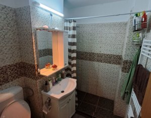 Appartement 2 chambres à louer dans Cluj-napoca, zone Manastur