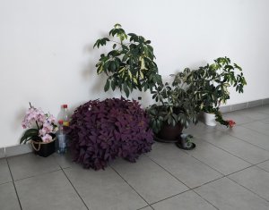 Appartement 2 chambres à vendre dans Cluj-napoca, zone Someseni