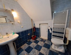 Maison 3 chambres à louer dans Cluj-napoca, zone Marasti