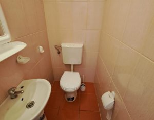 Maison 3 chambres à louer dans Cluj-napoca, zone Marasti