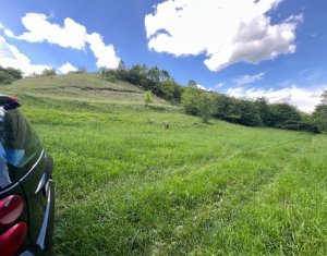 , 2000m2 on Savadisla