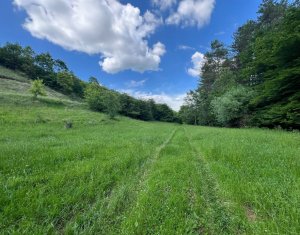 Telek eladó on Savadisla