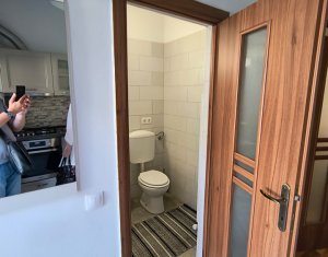 Appartement 1 chambres à louer dans Cluj-napoca, zone Centru