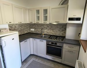 Appartement 1 chambres à louer dans Cluj-napoca, zone Centru