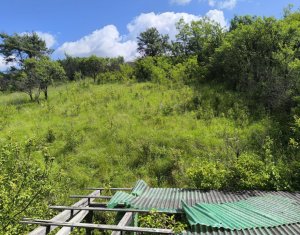 Holiday houses for sale in Filea De Jos