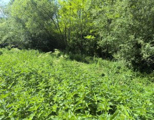 Holiday houses for sale in Filea De Jos