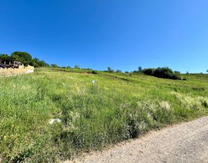 , 1479m2 dans Savadisla