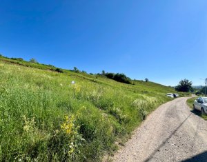 Terrain à vendre dans Savadisla