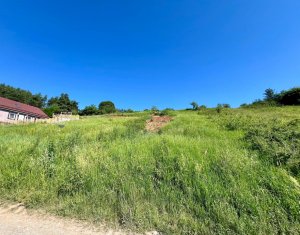 Terrain à vendre dans Savadisla