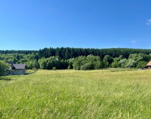Terrain à vendre dans Savadisla