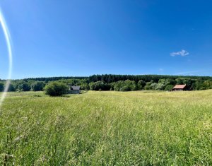 Terrain à vendre dans Savadisla