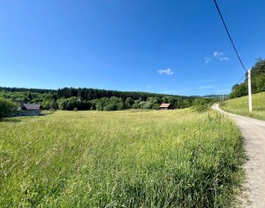 Terrain à vendre dans Savadisla