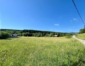 Terrain à vendre dans Savadisla