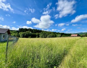 Terrain à vendre dans Savadisla