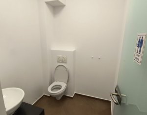 Maison 6 chambres à louer dans Cluj-napoca, zone Buna Ziua