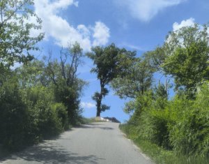 Casa de vacanta, cu lac, 5640 mp teren, Huta, com. Chiuiesti, jud. Cluj