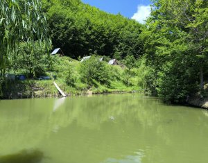 Casa de vacanta, cu lac, 5640 mp teren, Huta, com. Chiuiesti, jud. Cluj