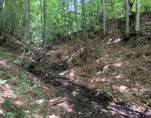 Casa de vacanta, cu lac, 5640 mp teren, Huta, com. Chiuiesti, jud. Cluj