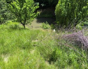 Casa de vacanta, cu lac, 5640 mp teren, Huta, com. Chiuiesti, jud. Cluj