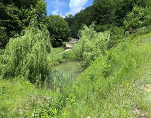 Casa de vacanta, cu lac, 5640 mp teren, Huta, com. Chiuiesti, jud. Cluj