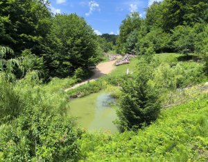 Casa de vacanta, cu lac, 5640 mp teren, Huta, com. Chiuiesti, jud. Cluj