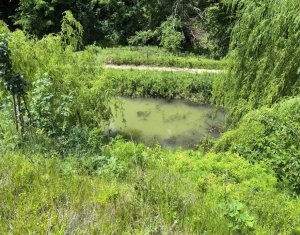 Casa de vacanta, cu lac, 5640 mp teren, Huta, com. Chiuiesti, jud. Cluj