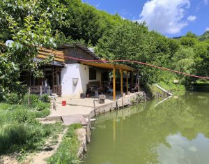 Casa de vacanta, cu lac, 5640 mp teren, Huta, com. Chiuiesti, jud. Cluj