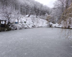 Casa de vacanta, cu lac, 5640 mp teren, Huta, com. Chiuiesti, jud. Cluj