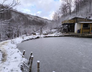 Casa de vacanta, cu lac, 5640 mp teren, Huta, com. Chiuiesti, jud. Cluj