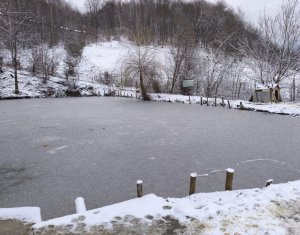 Casa de vacanta, cu lac, 5640 mp teren, Huta, com. Chiuiesti, jud. Cluj