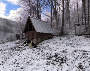 Casa de vacanta, cu lac, 5640 mp teren, Huta, com. Chiuiesti, jud. Cluj