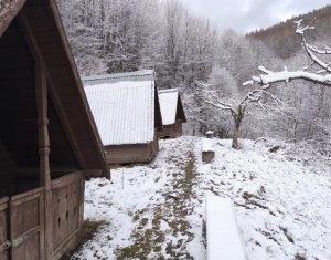 Casa de vacanta, cu lac, 5640 mp teren, Huta, com. Chiuiesti, jud. Cluj