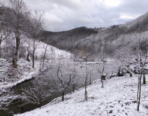 Casa de vacanta, cu lac, 5640 mp teren, Huta, com. Chiuiesti, jud. Cluj